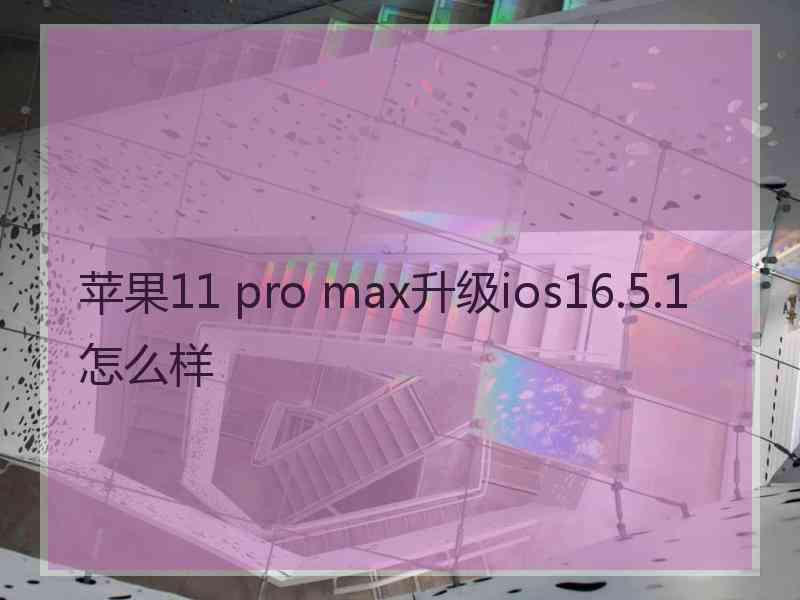 苹果11 pro max升级ios16.5.1怎么样