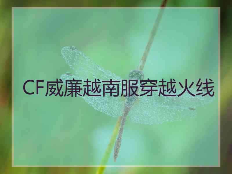 CF威廉越南服穿越火线