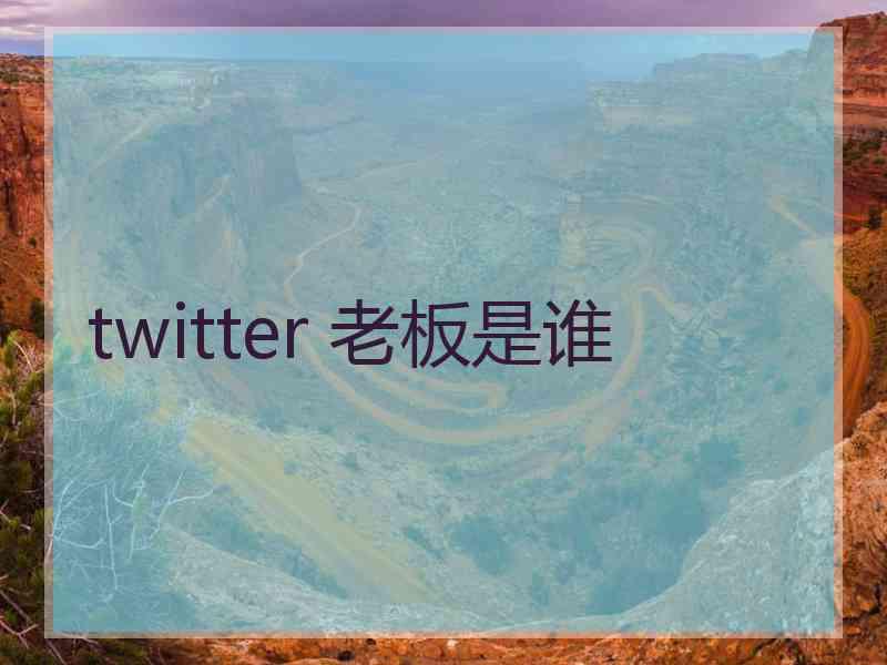 twitter 老板是谁