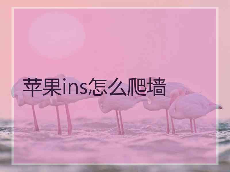 苹果ins怎么爬墙