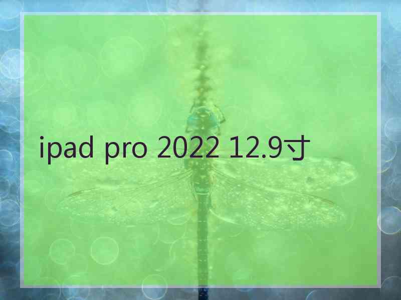 ipad pro 2022 12.9寸