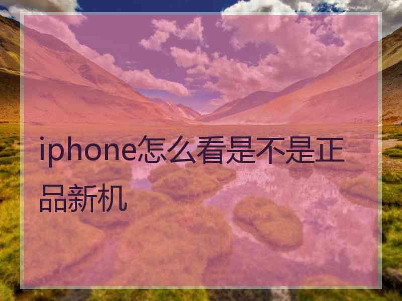 iphone怎么看是不是正品新机