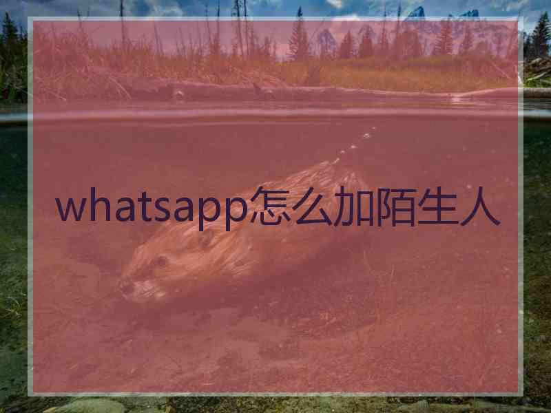 whatsapp怎么加陌生人