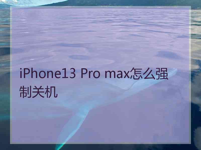 iPhone13 Pro max怎么强制关机