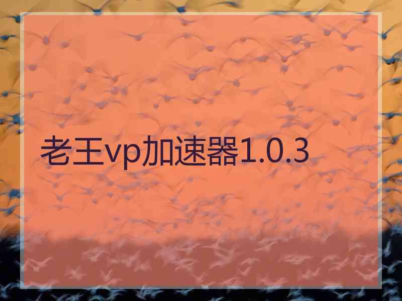 老王vp加速器1.0.3