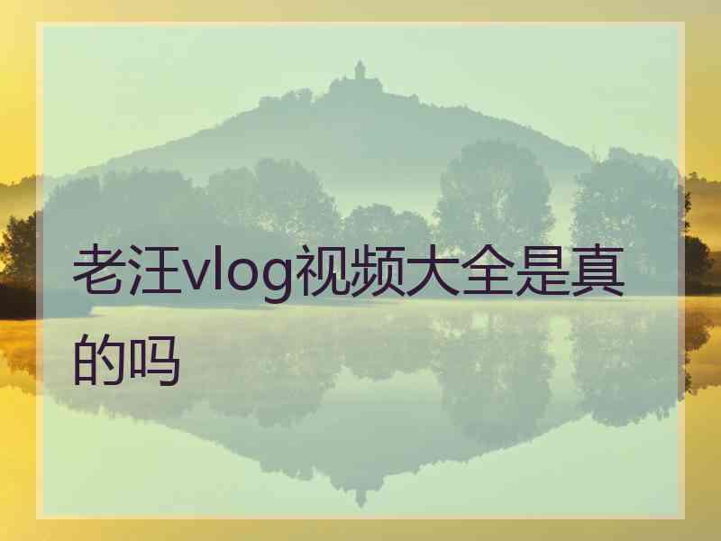 老汪vlog视频大全是真的吗