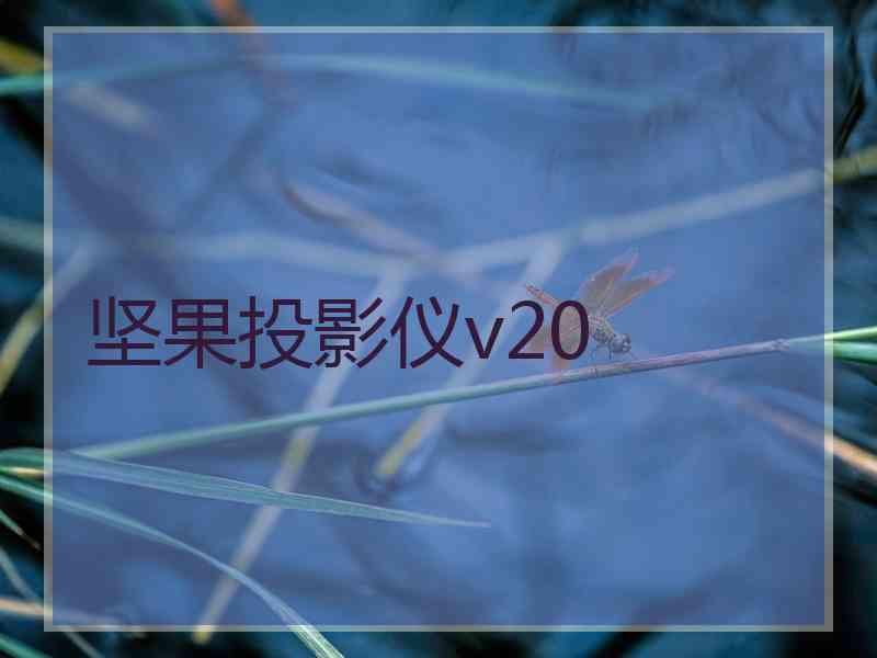 坚果投影仪v20