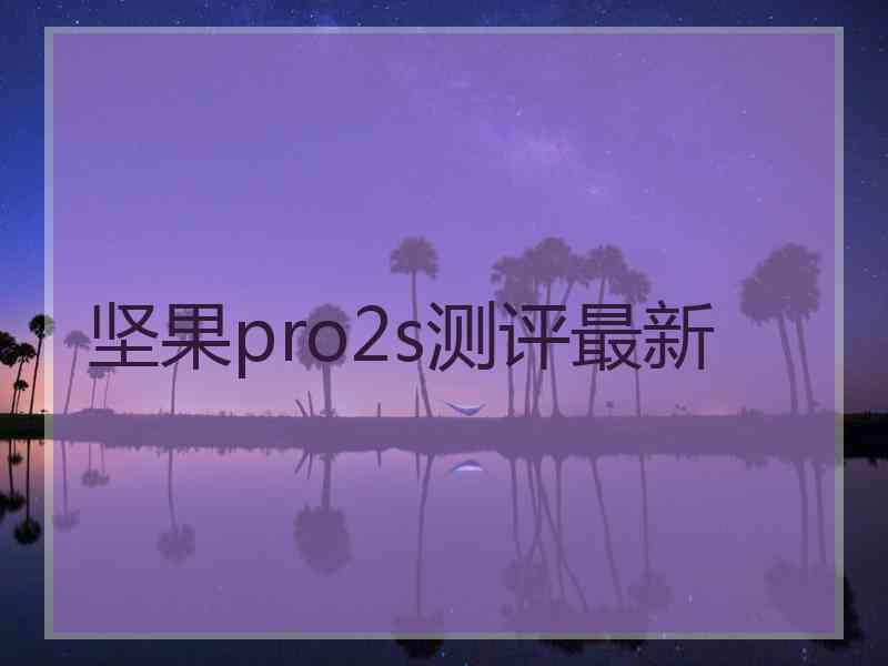 坚果pro2s测评最新