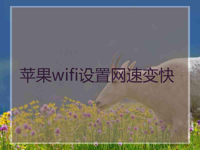 苹果wifi设置网速变快