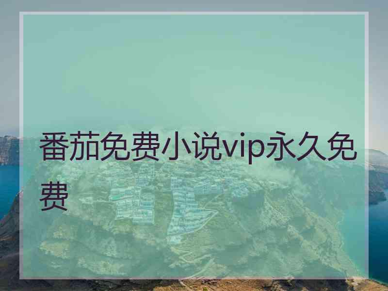 番茄免费小说vip永久免费