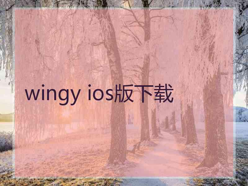 wingy ios版下载