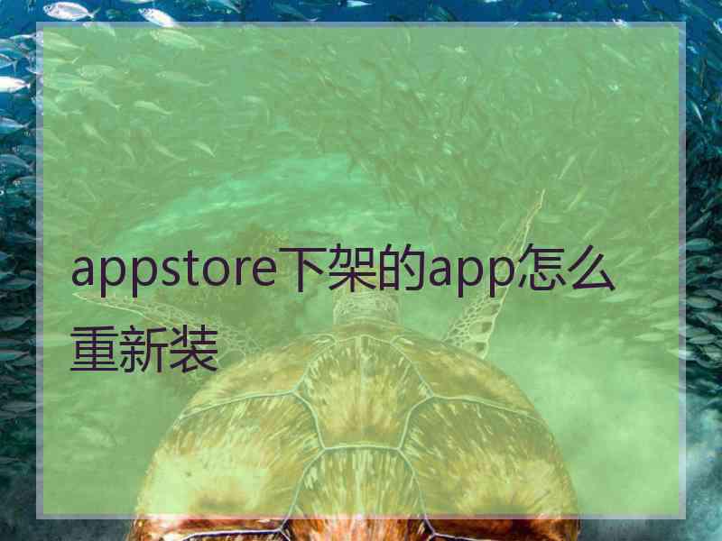 appstore下架的app怎么重新装