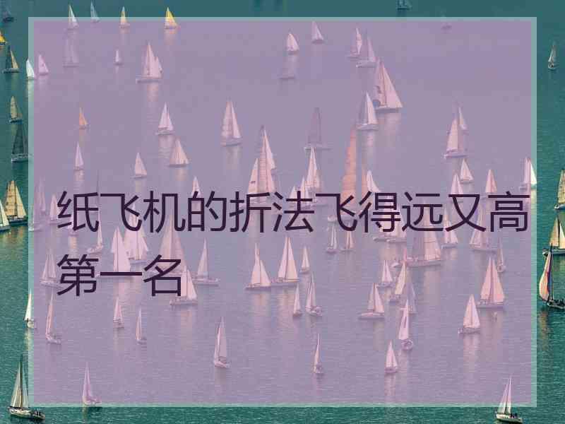 纸飞机的折法飞得远又高第一名