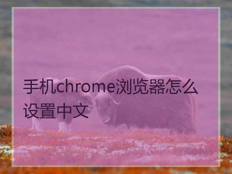 手机chrome浏览器怎么设置中文