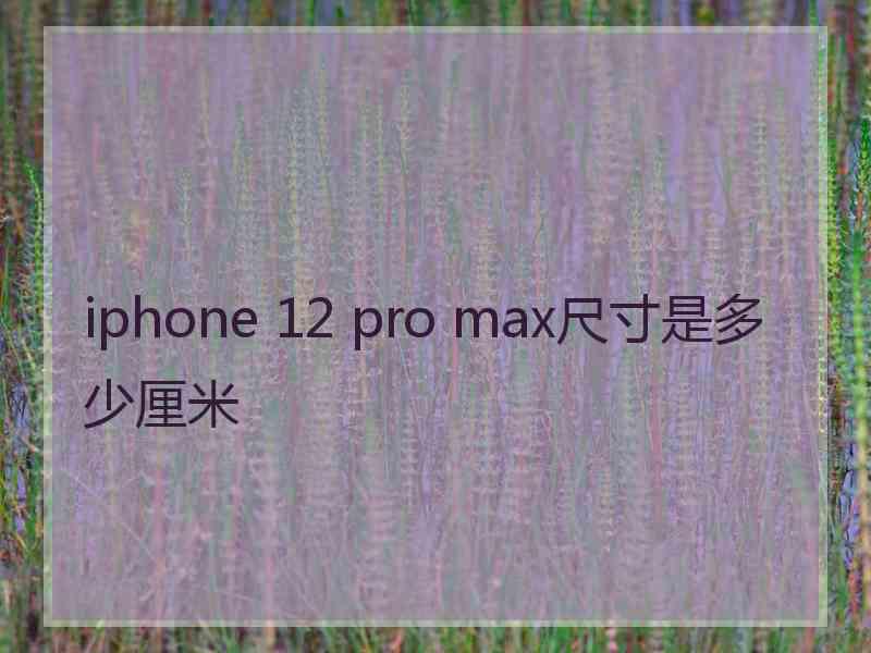 iphone 12 pro max尺寸是多少厘米