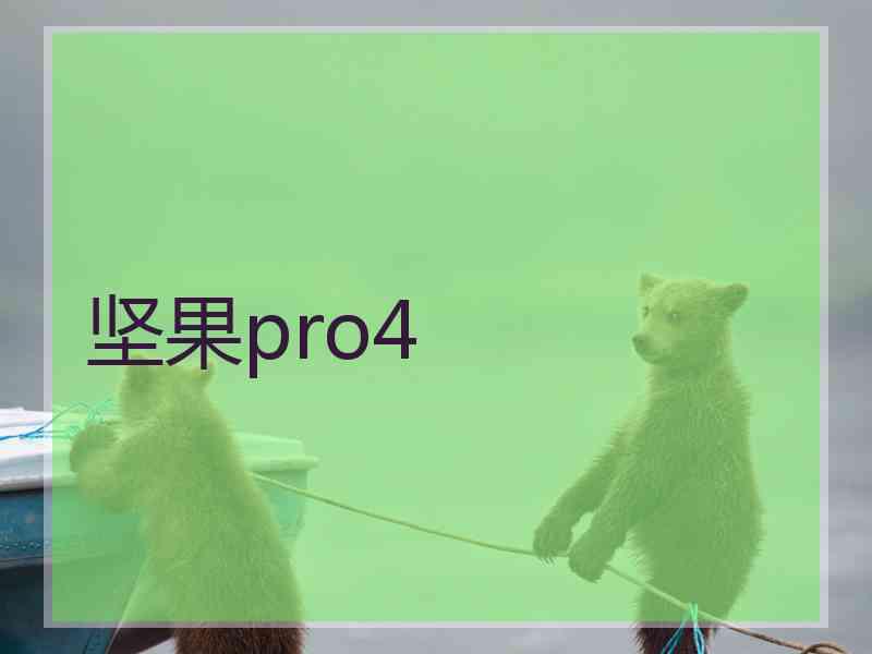 坚果pro4