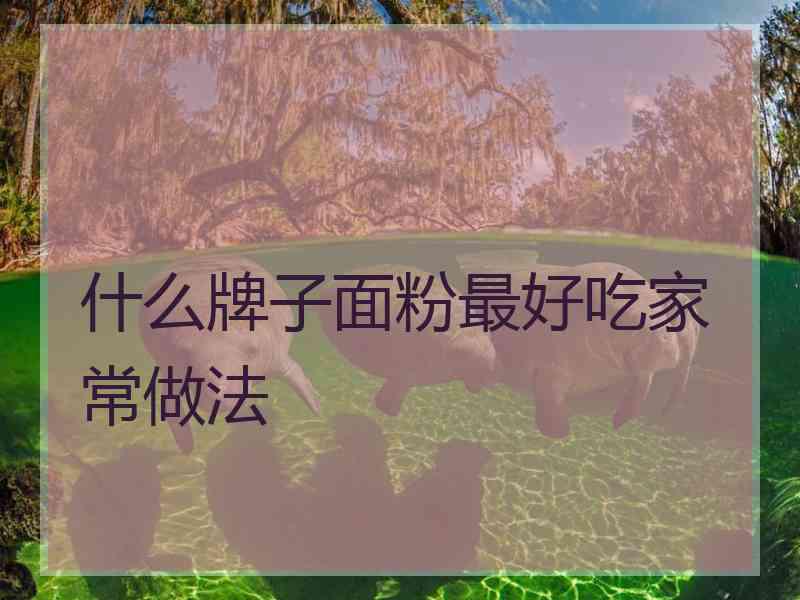 什么牌子面粉最好吃家常做法