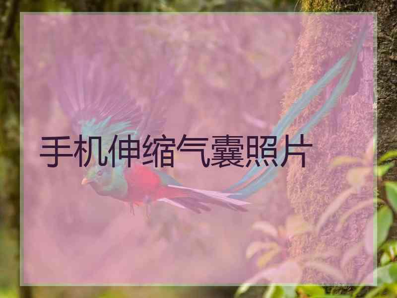 手机伸缩气囊照片