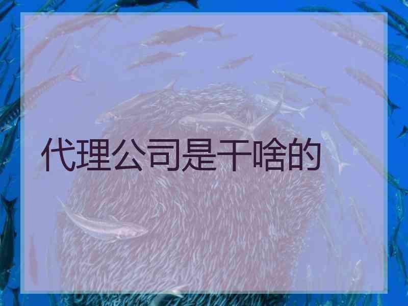 代理公司是干啥的