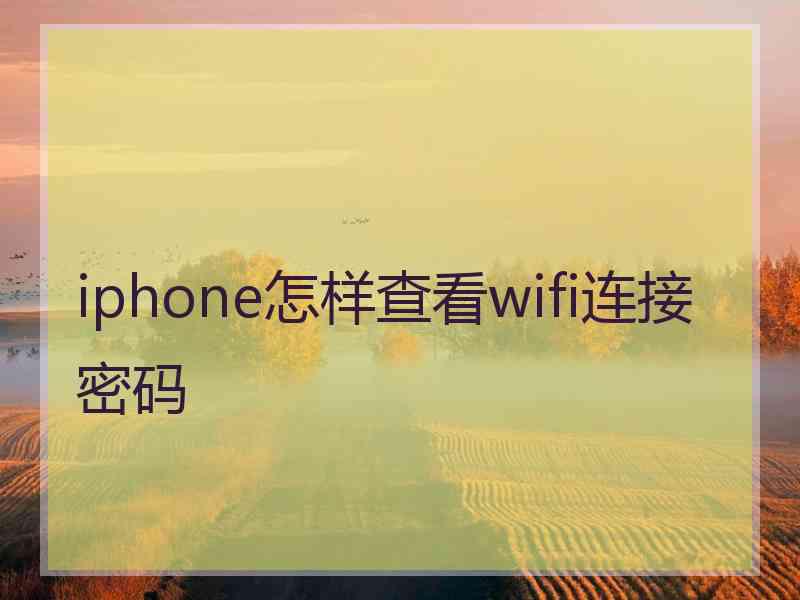 iphone怎样查看wifi连接密码