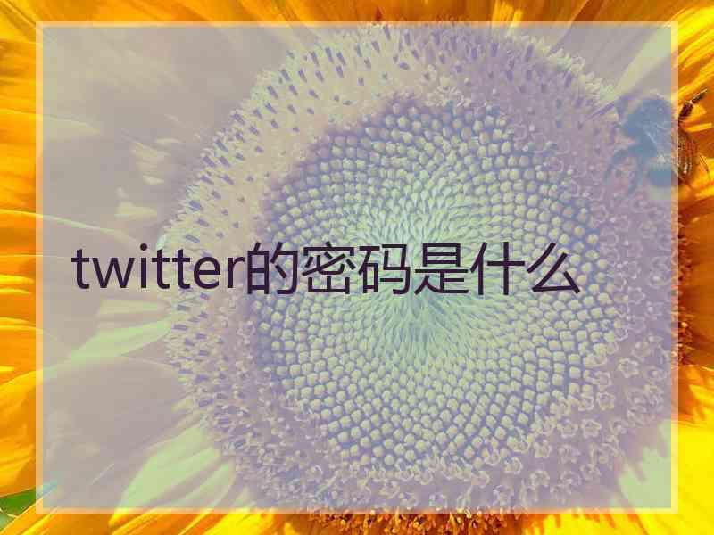 twitter的密码是什么