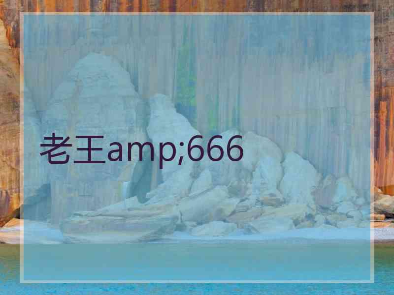 老王amp;666