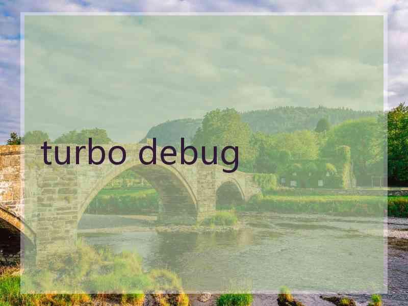 turbo debug