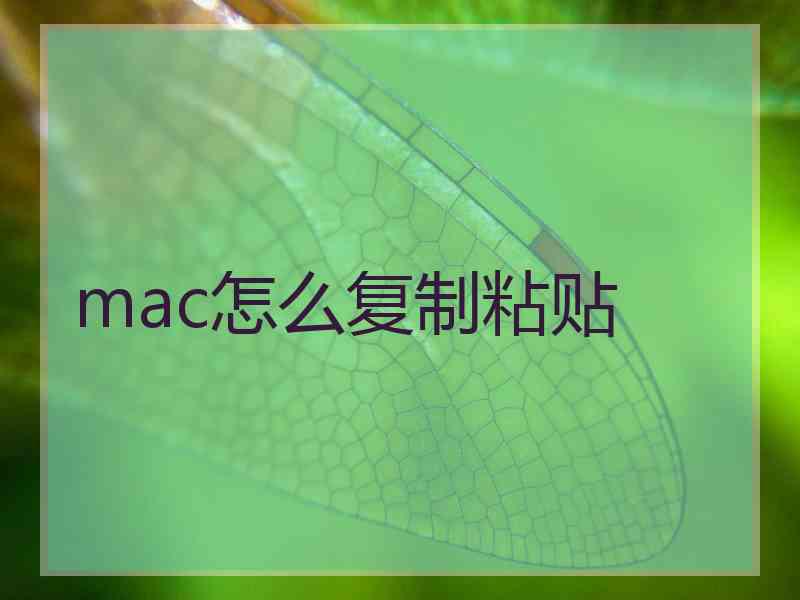 mac怎么复制粘贴