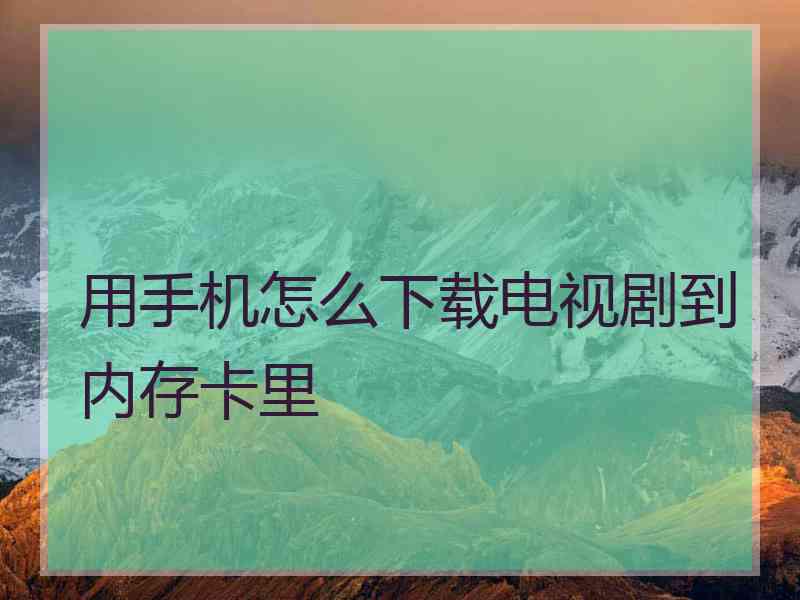 用手机怎么下载电视剧到内存卡里