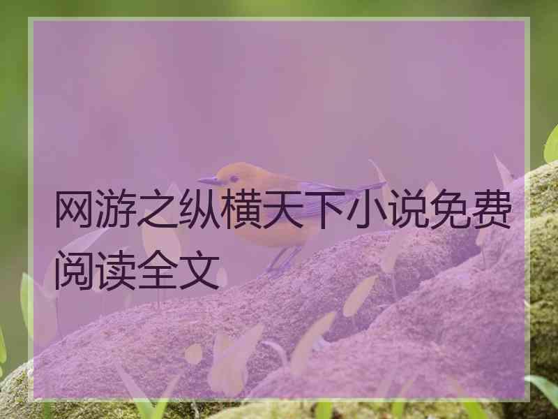 网游之纵横天下小说免费阅读全文