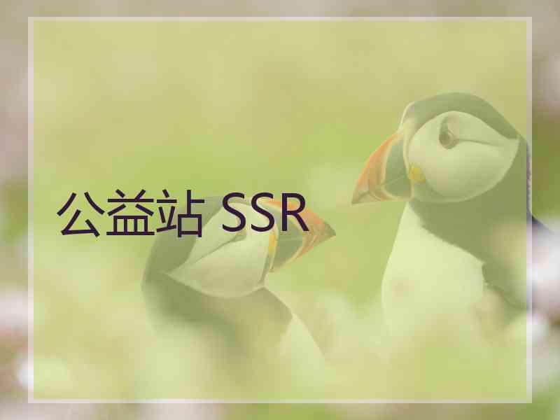 公益站 SSR