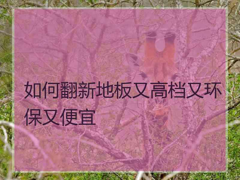 如何翻新地板又高档又环保又便宜