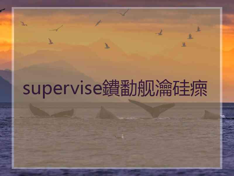 supervise鐨勫舰瀹硅瘝