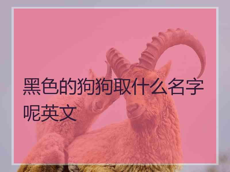 黑色的狗狗取什么名字呢英文