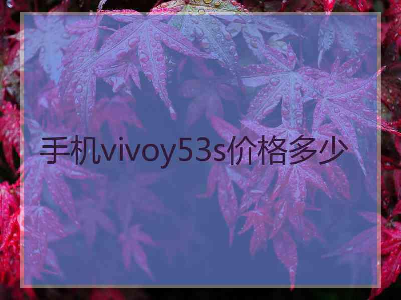 手机vivoy53s价格多少