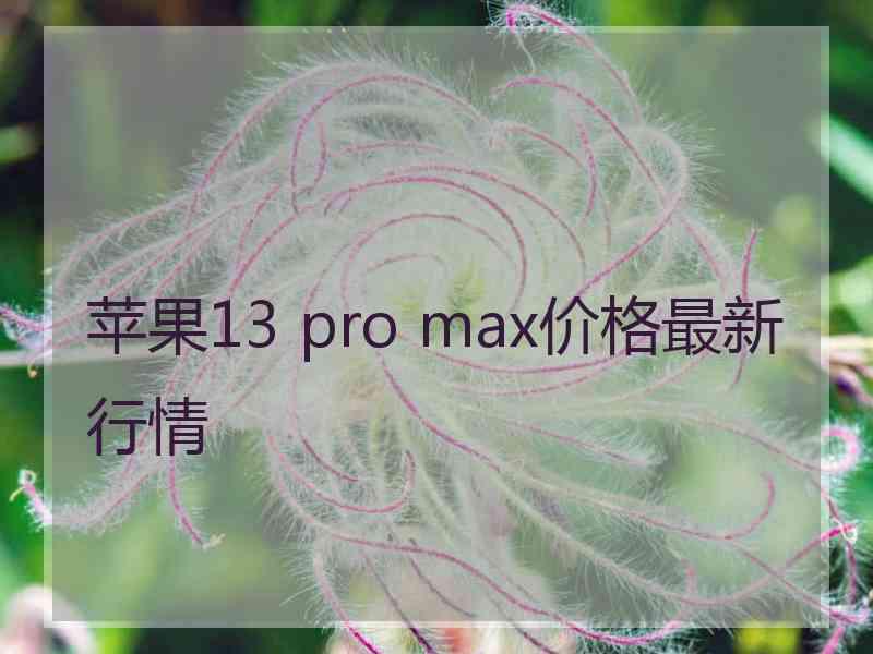 苹果13 pro max价格最新行情