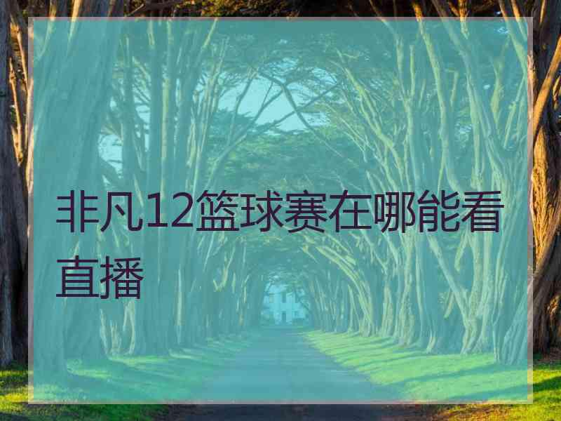 非凡12篮球赛在哪能看直播