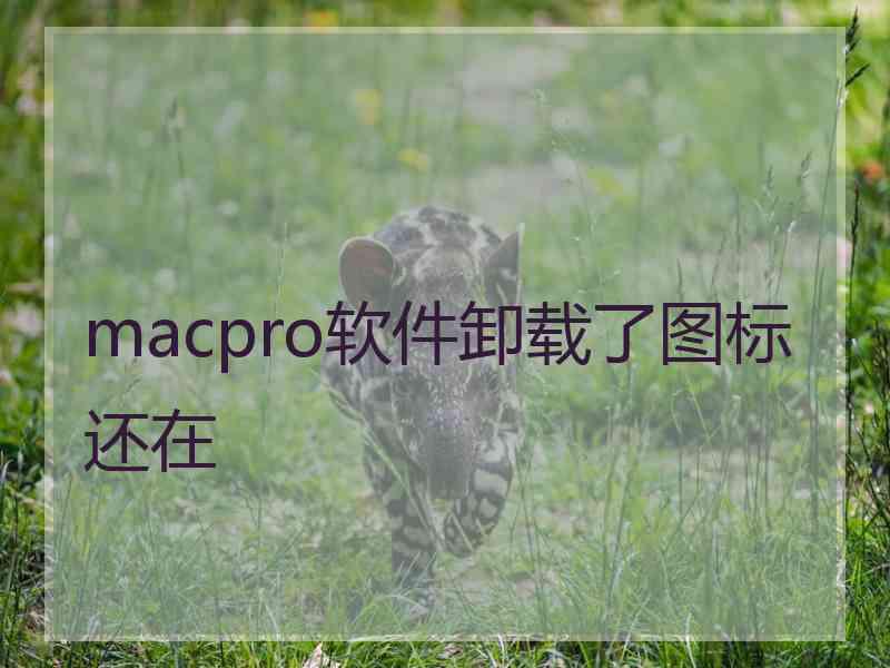 macpro软件卸载了图标还在