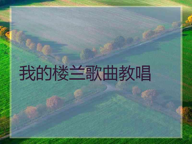 我的楼兰歌曲教唱