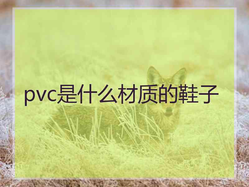 pvc是什么材质的鞋子