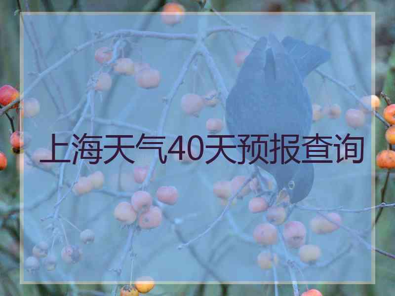 上海天气40天预报查询