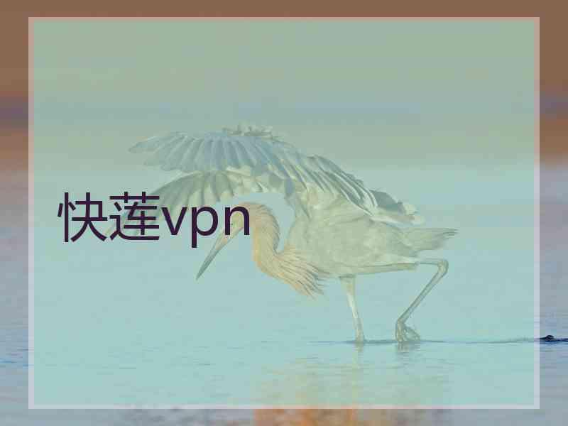 快莲vpn