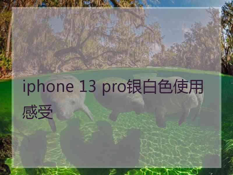 iphone 13 pro银白色使用感受