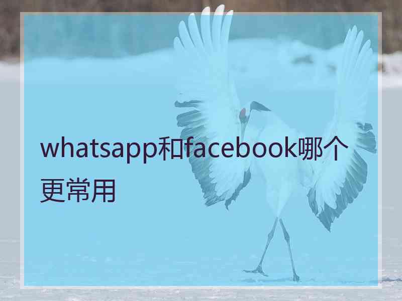 whatsapp和facebook哪个更常用