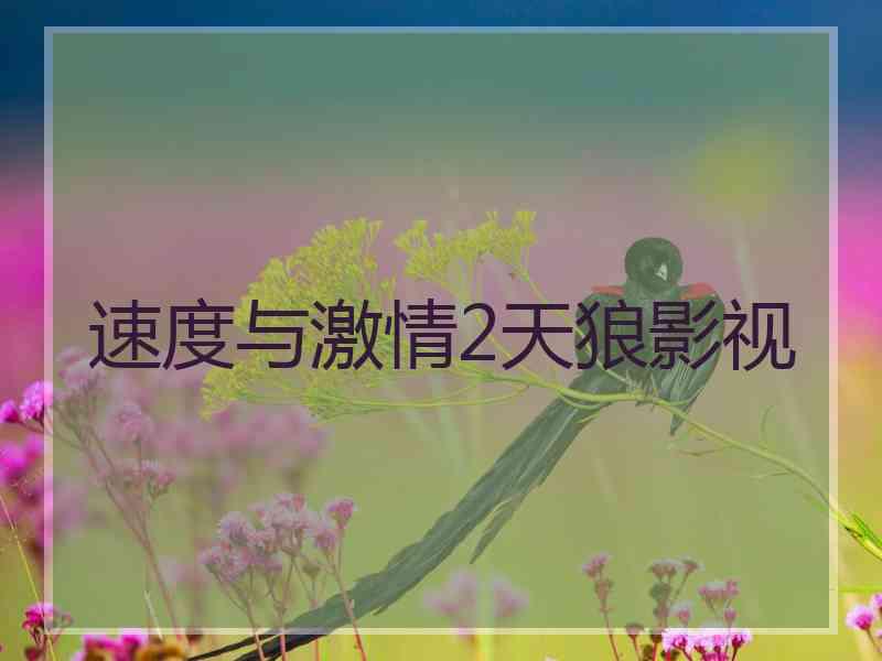 速度与激情2天狼影视