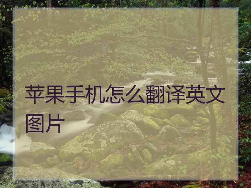 苹果手机怎么翻译英文图片