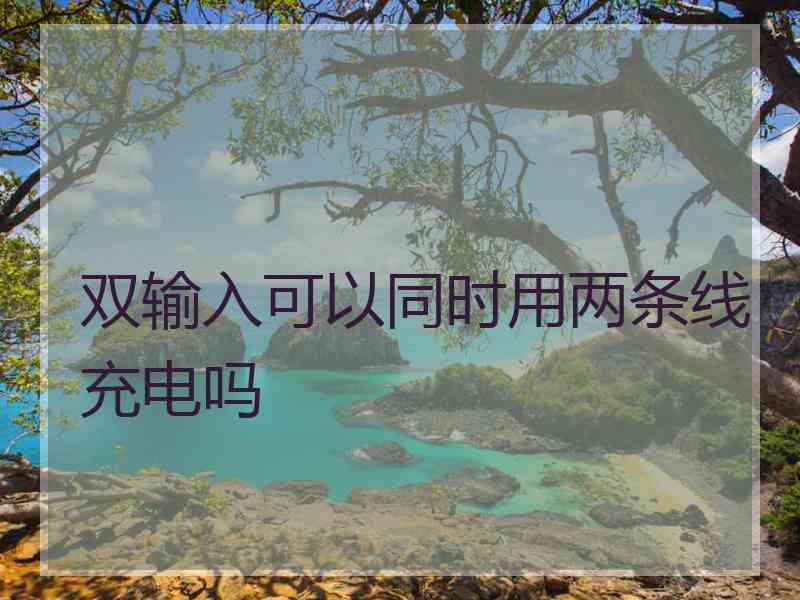 双输入可以同时用两条线充电吗