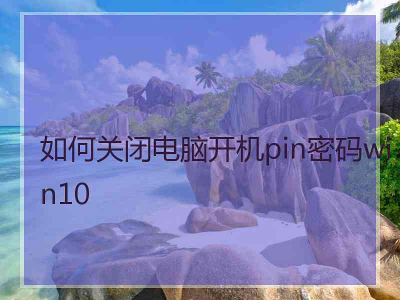 如何关闭电脑开机pin密码win10