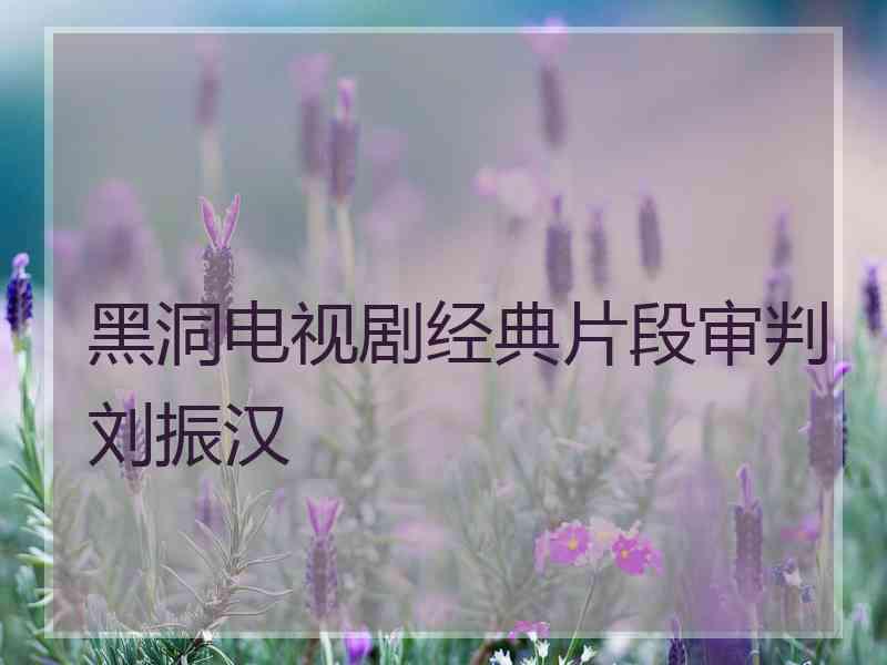 黑洞电视剧经典片段审判刘振汉