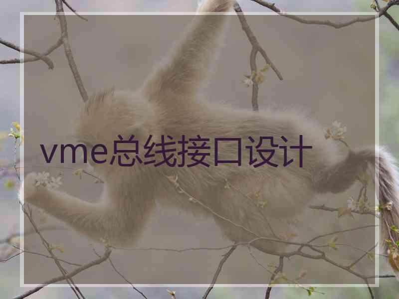 vme总线接口设计